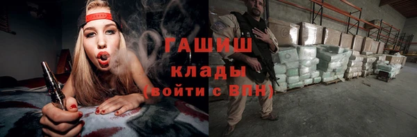 молекула духа Туринск