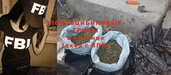 хмурый Тында