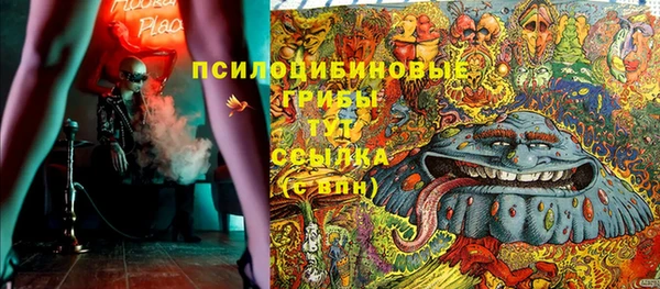 молекула духа Туринск