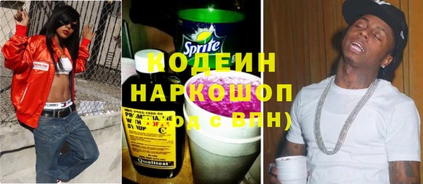 молекула духа Туринск