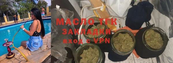 молекула духа Туринск