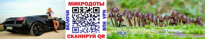 Галлюциногенные грибы Cubensis  магазин продажи   Игарка 
